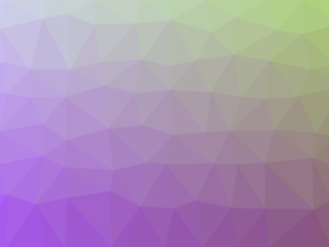 В Петровске-Забайкальском произведено строительство новых домов для переселенцев из аварийного жилья