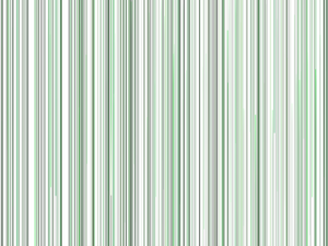 В 2021 году запланировано благоустройство 248 общественных мест в рамках нацпроекта «Жилье и городская среда»