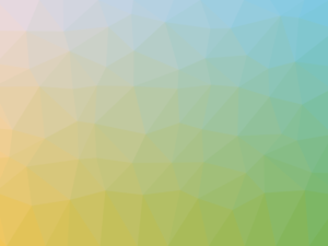 Во Владивостоке разоблачена семья автоподставщиков, «заработавшая» более 6 млн руб. на страховщиках