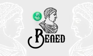 Международные эксперты протестировали приложение BenedHASH в Нигерии